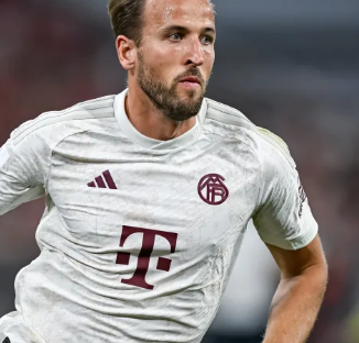 果呈现出 果呈现出