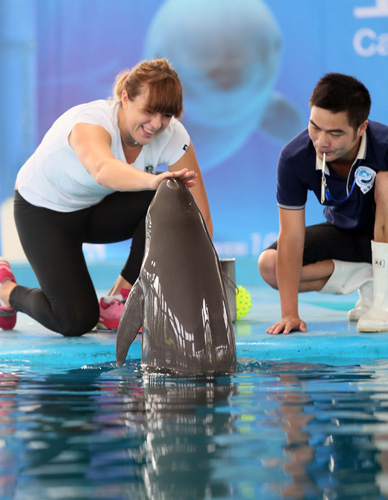 推到聚光灯 推到聚光灯